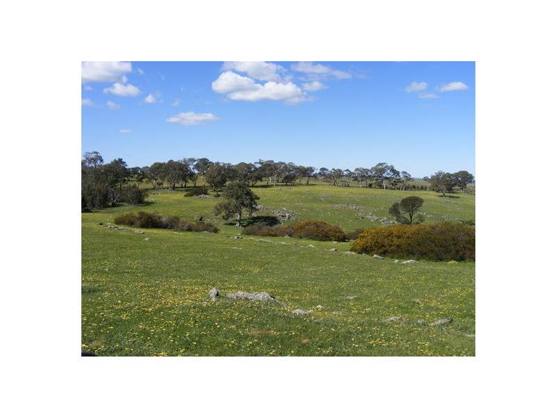 Lot 5 Brice Drive via Range Road, Woodside SA 5244