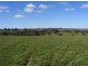 Lot 5 Brice Drive via Range Road, Woodside SA 5244