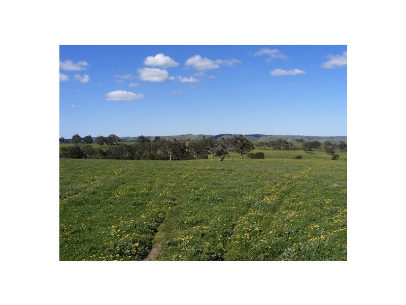 Lot 5 Brice Drive via Range Road, Woodside SA 5244