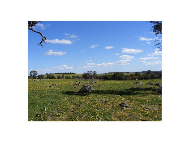 Lot 5 Brice Drive via Range Road, Woodside SA 5244