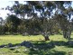Lot 5 Brice Drive via Range Road, Woodside SA 5244