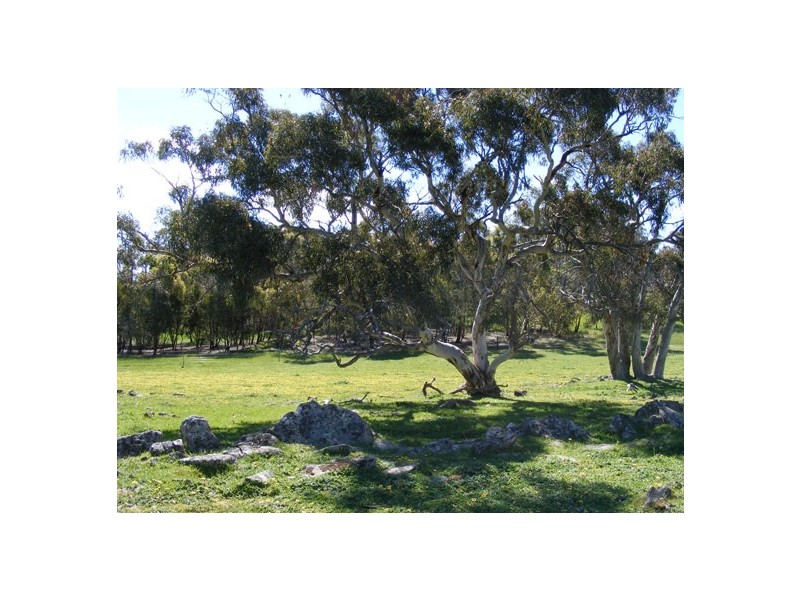 Lot 5 Brice Drive via Range Road, Woodside SA 5244