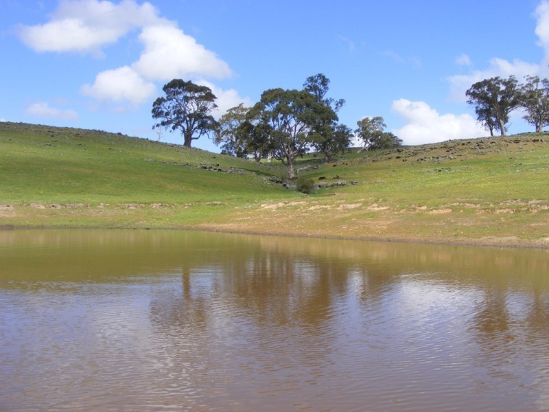 Lot 3 Brice Drive via Range Road, Woodside SA 5244