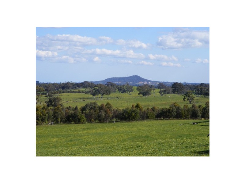 Lot 3 Brice Drive via Range Road, Woodside SA 5244