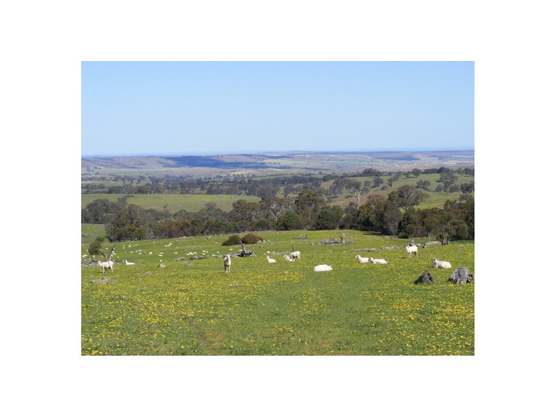 Lot 3 Brice Drive via Range Road, Woodside SA 5244