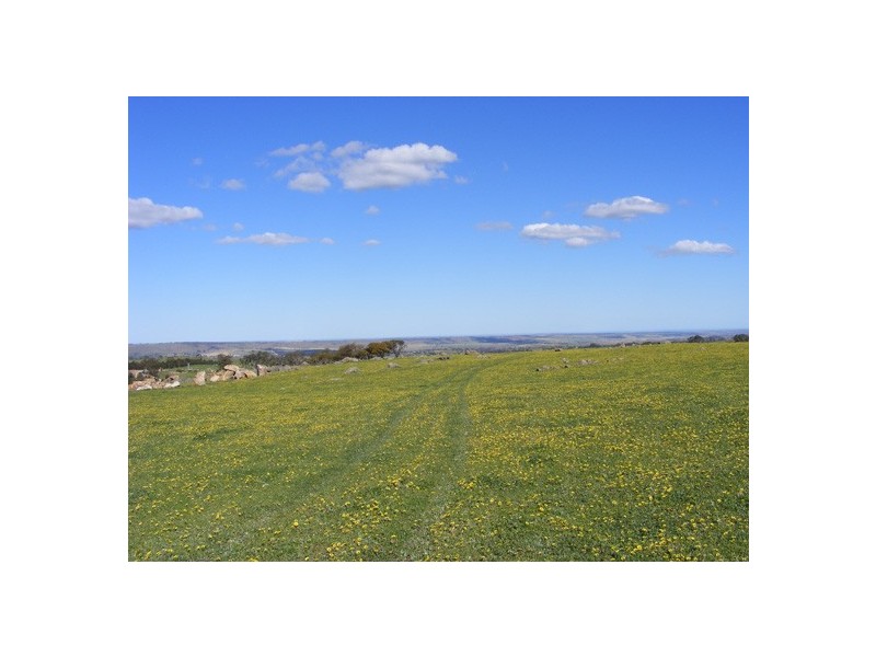 Lot 3 Brice Drive via Range Road, Woodside SA 5244