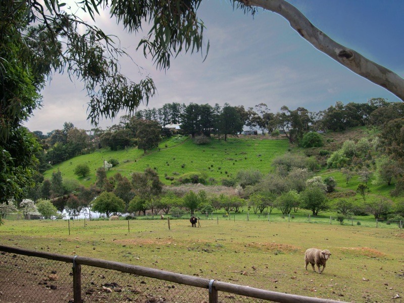 Lot 3 Chapman Road, Inglewood SA 5133