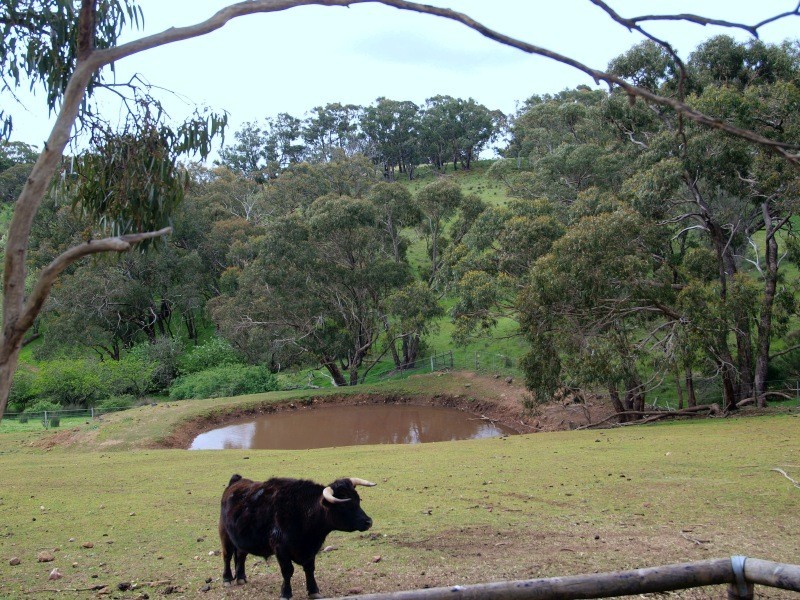 Lot 3 Chapman Road, Inglewood SA 5133