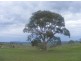 Lot 1 Range Road (off Steep Hill Rd), Harrogate SA 5244