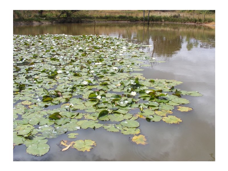 Sec 884 Rowe Road, Echunga SA 5153