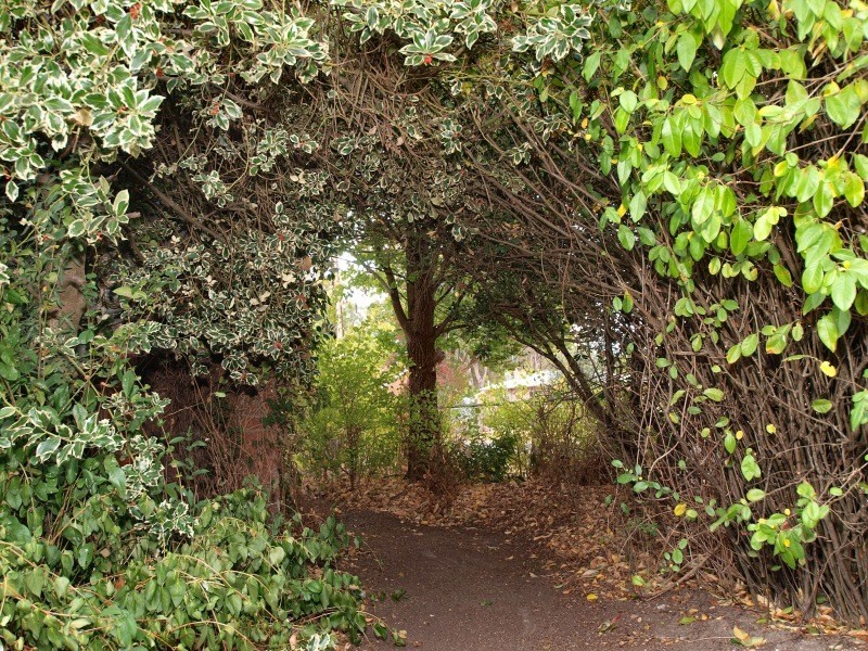 88 Melrose Street, Mount Pleasant SA 5235