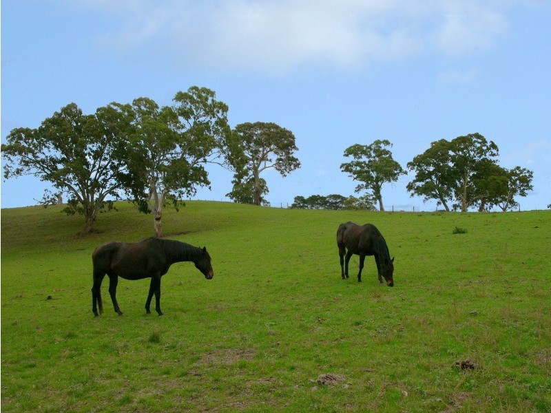 Lots 17 and 15 Mappinga Road, Oakbank SA 5243