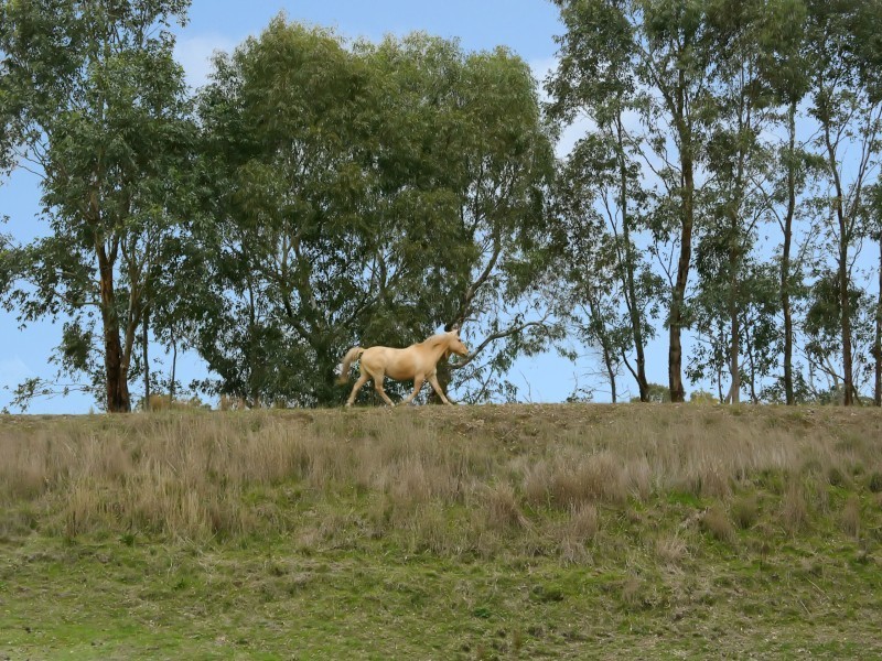 Lots 17 and 15 Mappinga Road, Oakbank SA 5243