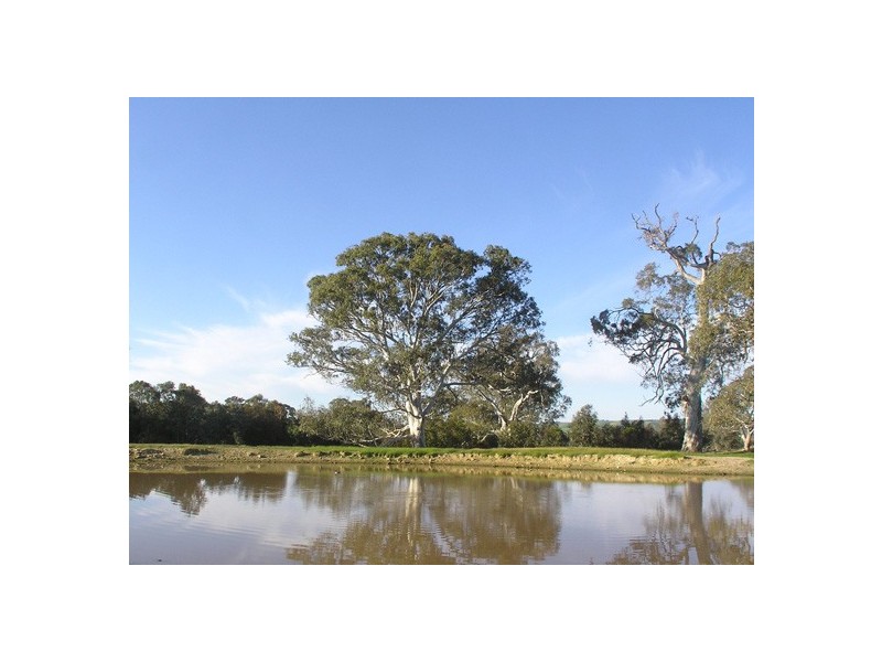 Lot 51 Mail Road, Harrogate SA 5244