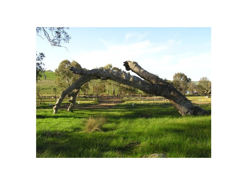 Lot 51 Mail Road, Harrogate SA 5244