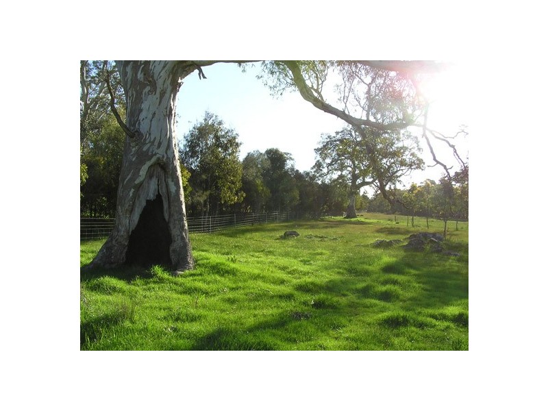 Lot 51 Mail Road, Harrogate SA 5244