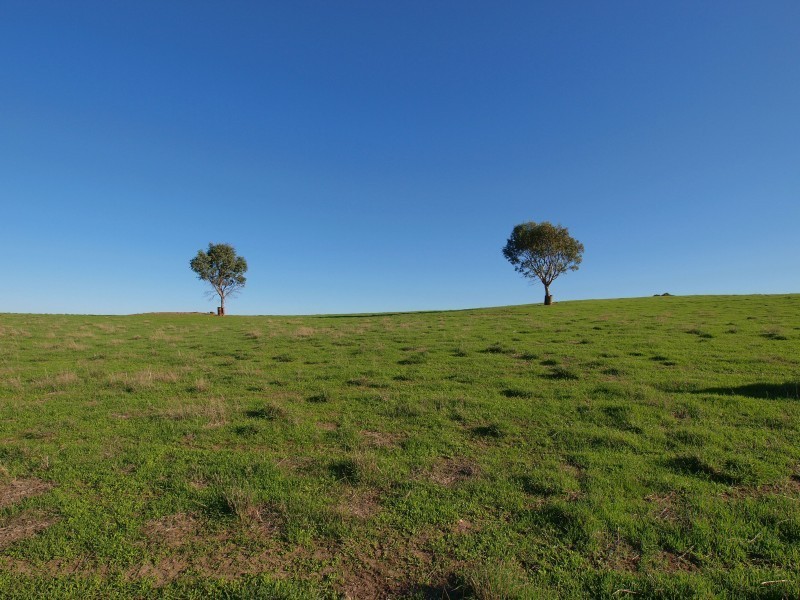 Lot 1 Harrogate / Dawesley Road, Harrogate SA 5244
