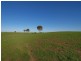 Lot 1 Harrogate / Dawesley Road, Harrogate SA 5244