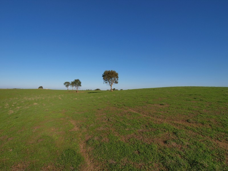 Lot 1 Harrogate / Dawesley Road, Harrogate SA 5244