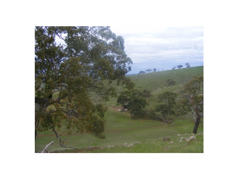 Lot 1 Range Road (off Steep Hill Rd), Harrogate SA 5244
