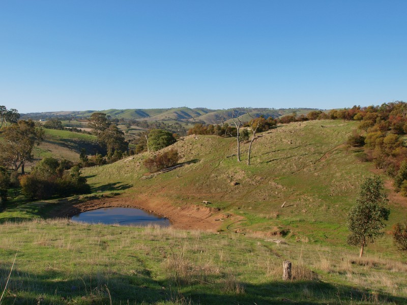 Lot 1 Harrogate / Dawesley Road, Harrogate SA 5244