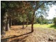 Lot 3 Onkaparinga Valley Road, Oakbank SA 5243