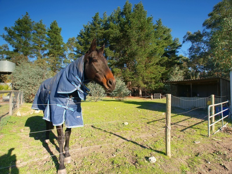 Lot 3 Onkaparinga Valley Road, Oakbank SA 5243