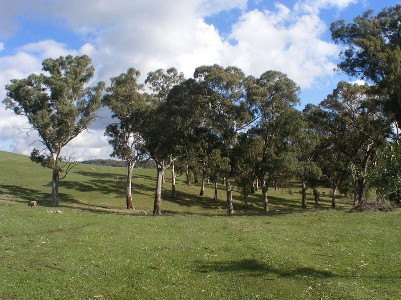 Lot   3 Chapman Road, Inglewood SA 5133