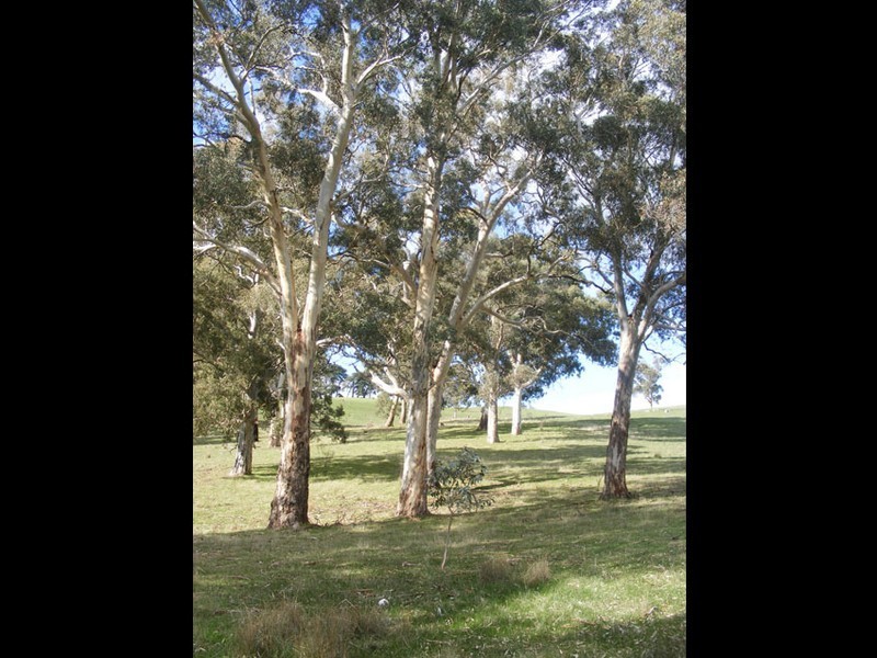 Lot   3 Chapman Road, Inglewood SA 5133