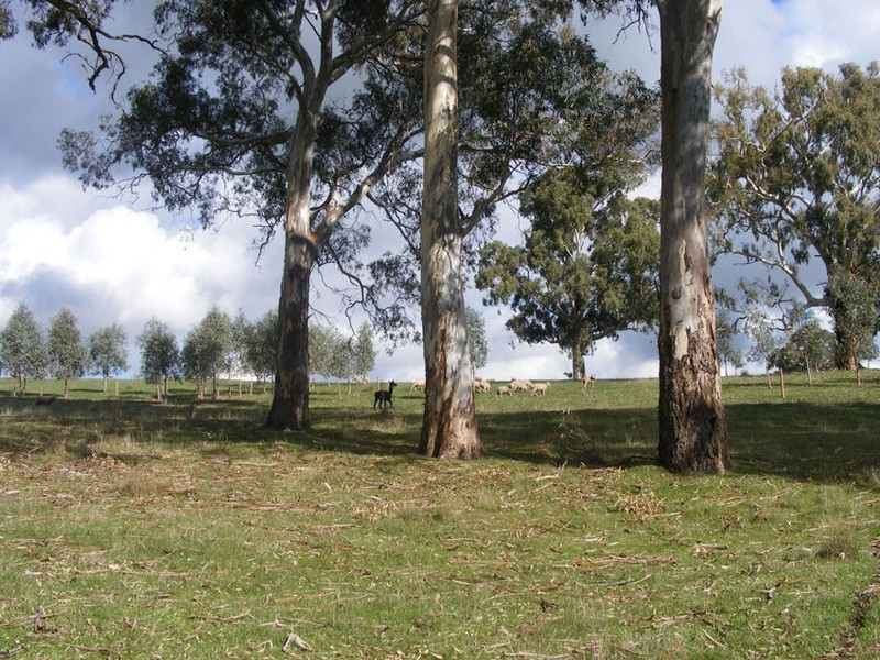 Lot   3 Chapman Road, Inglewood SA 5133