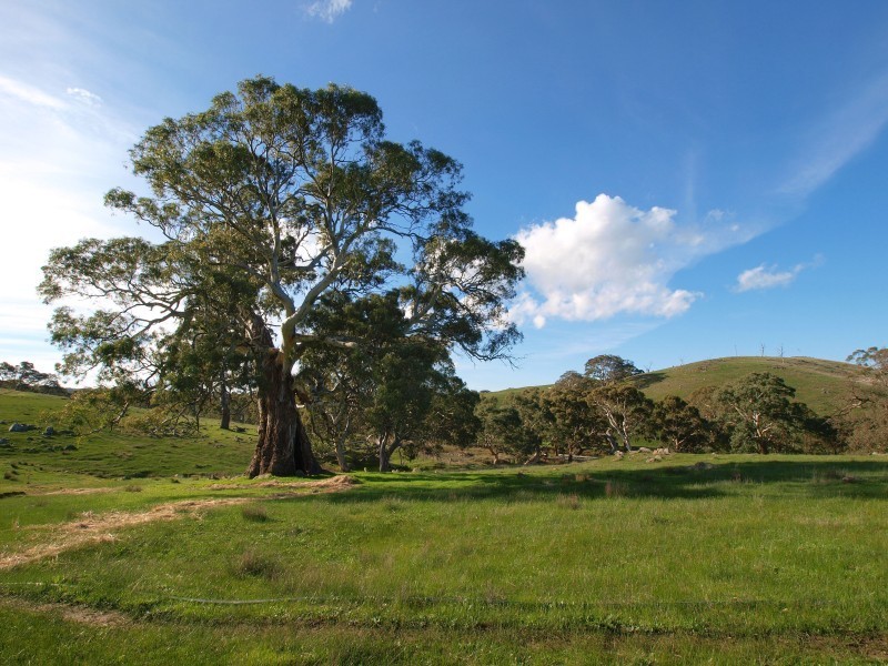 Lot 7 Military Road, Woodside SA 5244