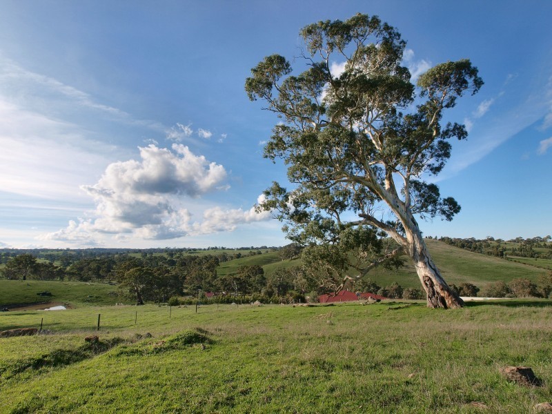 Lot 7 Military Road, Woodside SA 5244