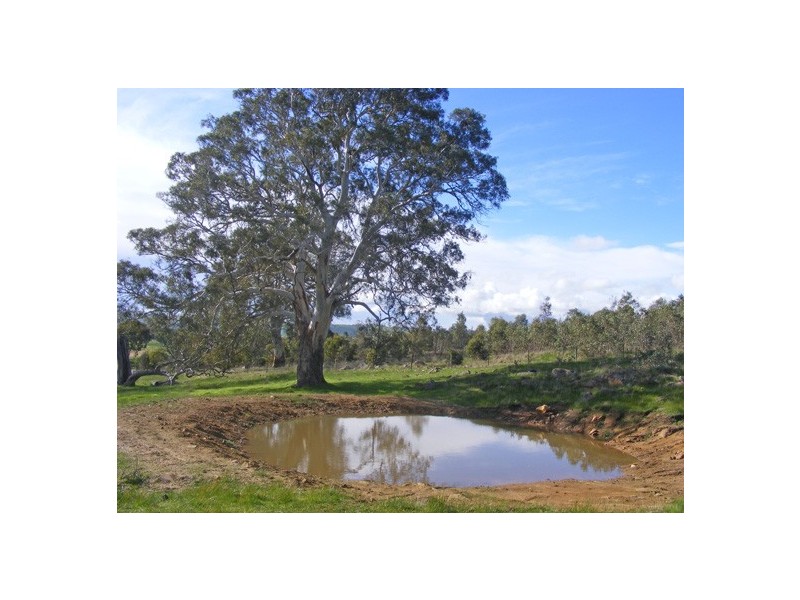 Lot 52 Mail Road, Harrogate SA 5244