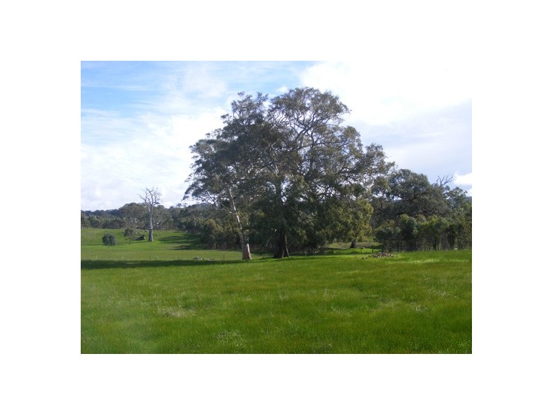 Lot 52 Mail Road, Harrogate SA 5244