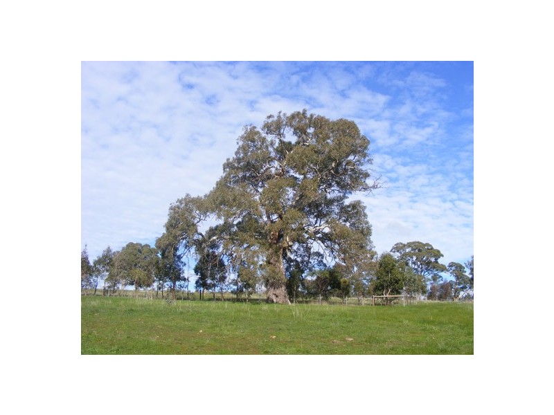 Lot 52 Mail Road, Harrogate SA 5244