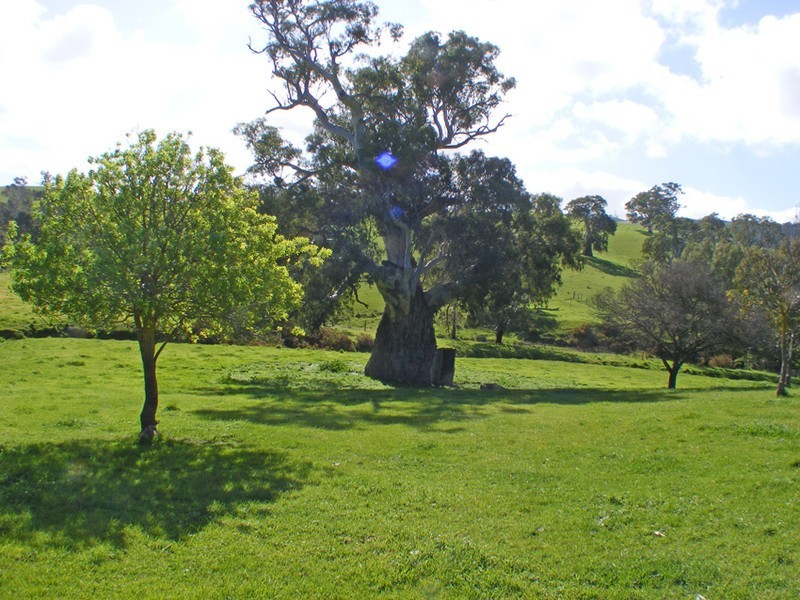 Lot 4 Tungkillo Road, Harrogate SA 5244