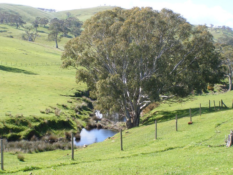 Lot 4 Tungkillo Road, Harrogate SA 5244