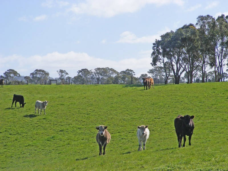 Lot 4 Tungkillo Road, Harrogate SA 5244