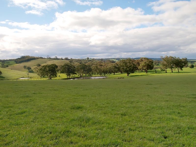 Section 49 Greenhills Road, Green Hills Range SA 5153