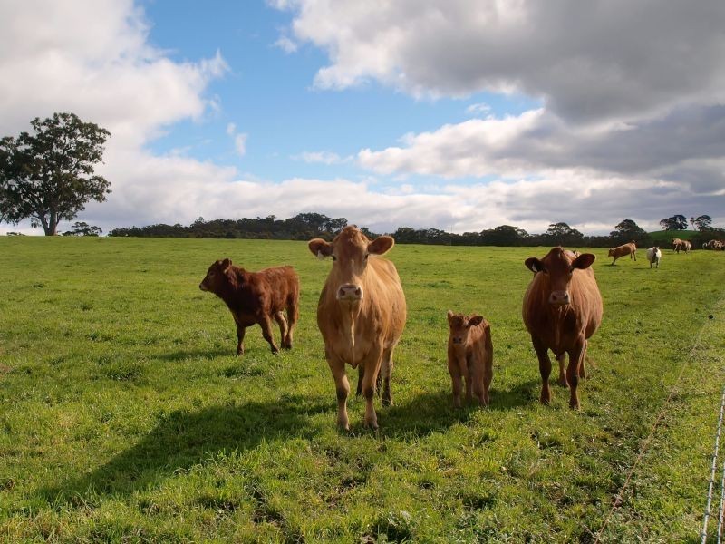 Section 49 Greenhills Road, Green Hills Range SA 5153