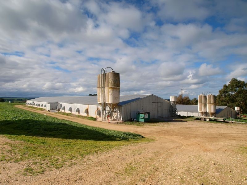 Section 49 Greenhills Road, Green Hills Range SA 5153