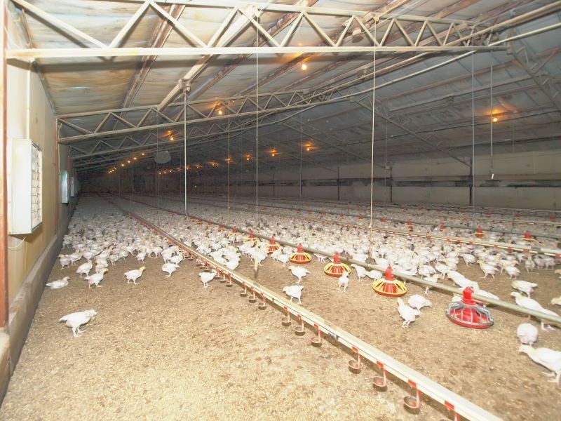 Section 49 Greenhills Road, Green Hills Range SA 5153