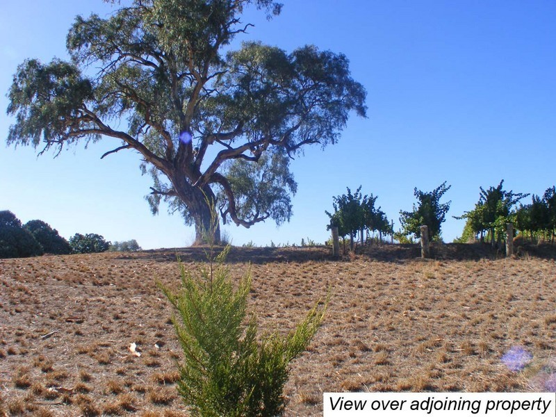 Lot 42 Pike Street, Oakbank SA 5243