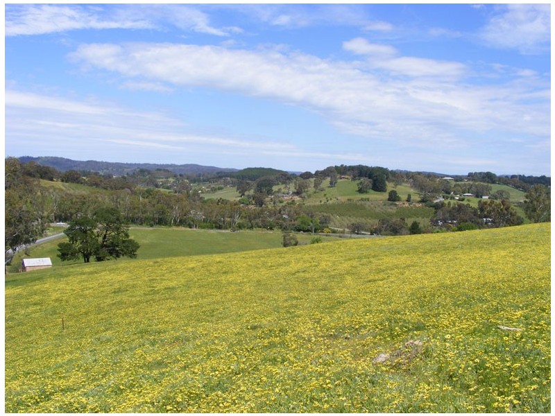 Lot 4 Chapman Road, Inglewood SA 5133