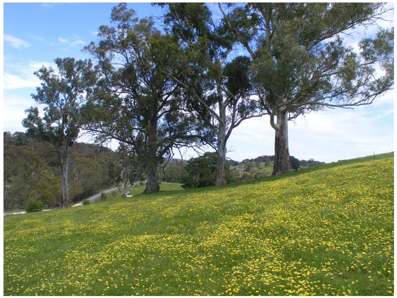 Lot 4 Chapman Road, Inglewood SA 5133