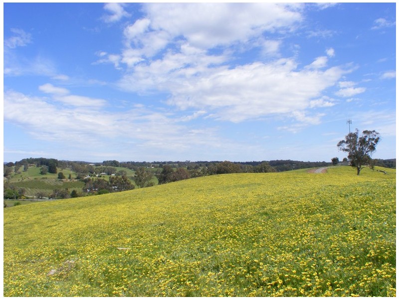 Lot 4 Chapman Road, Inglewood SA 5133