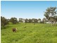 Lot 48 Pound Road, Macclesfield SA 5153