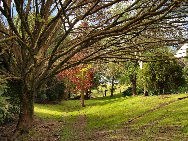 Sec 505 Sheoak Road, Hahndorf SA 5245