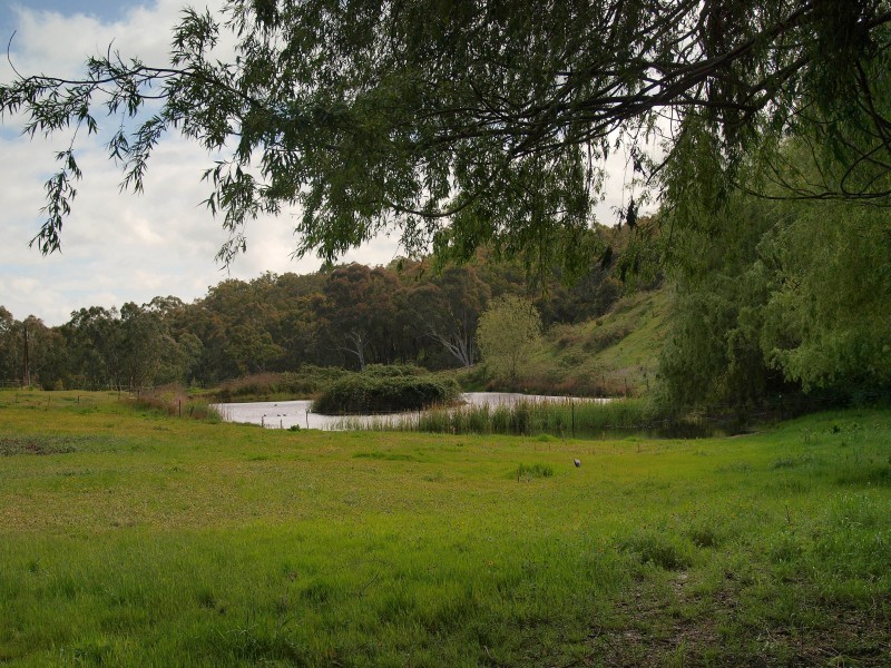 Sec 505 Sheoak Road, Hahndorf SA 5245