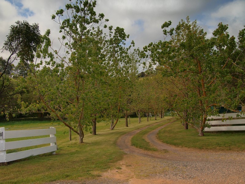 Sec 505 Sheoak Road, Hahndorf SA 5245